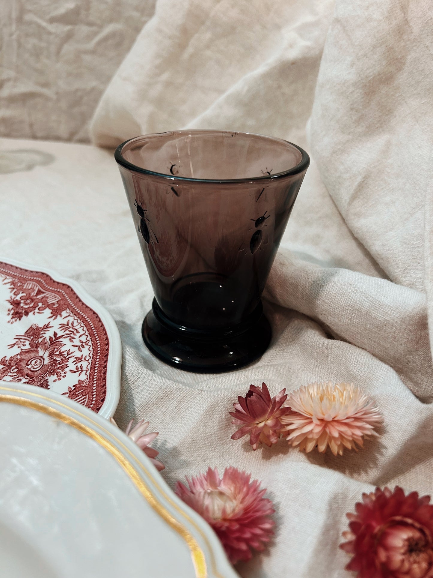 Verre 🐝 aubergine