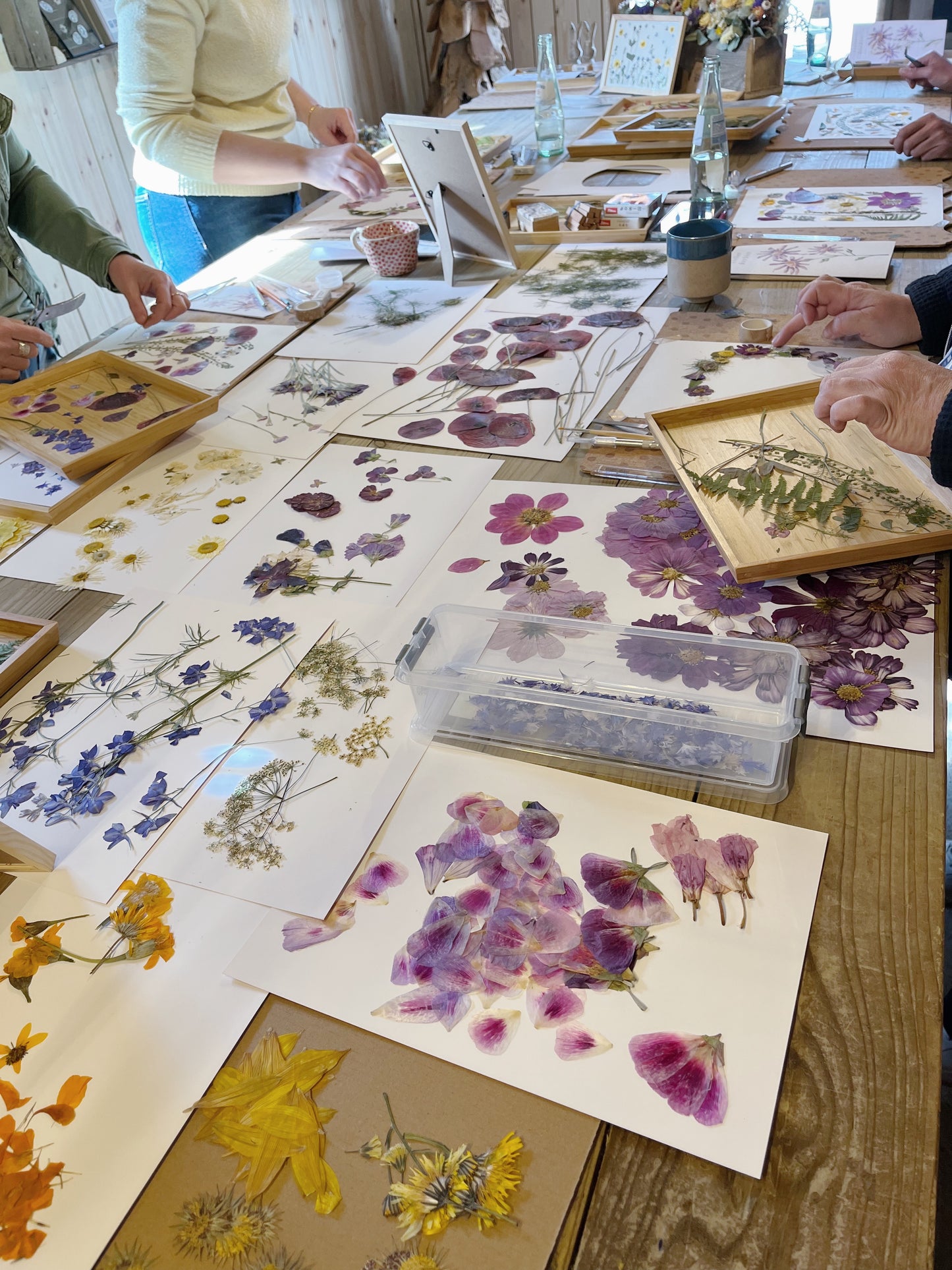Atelier - Les herbiers fleuris