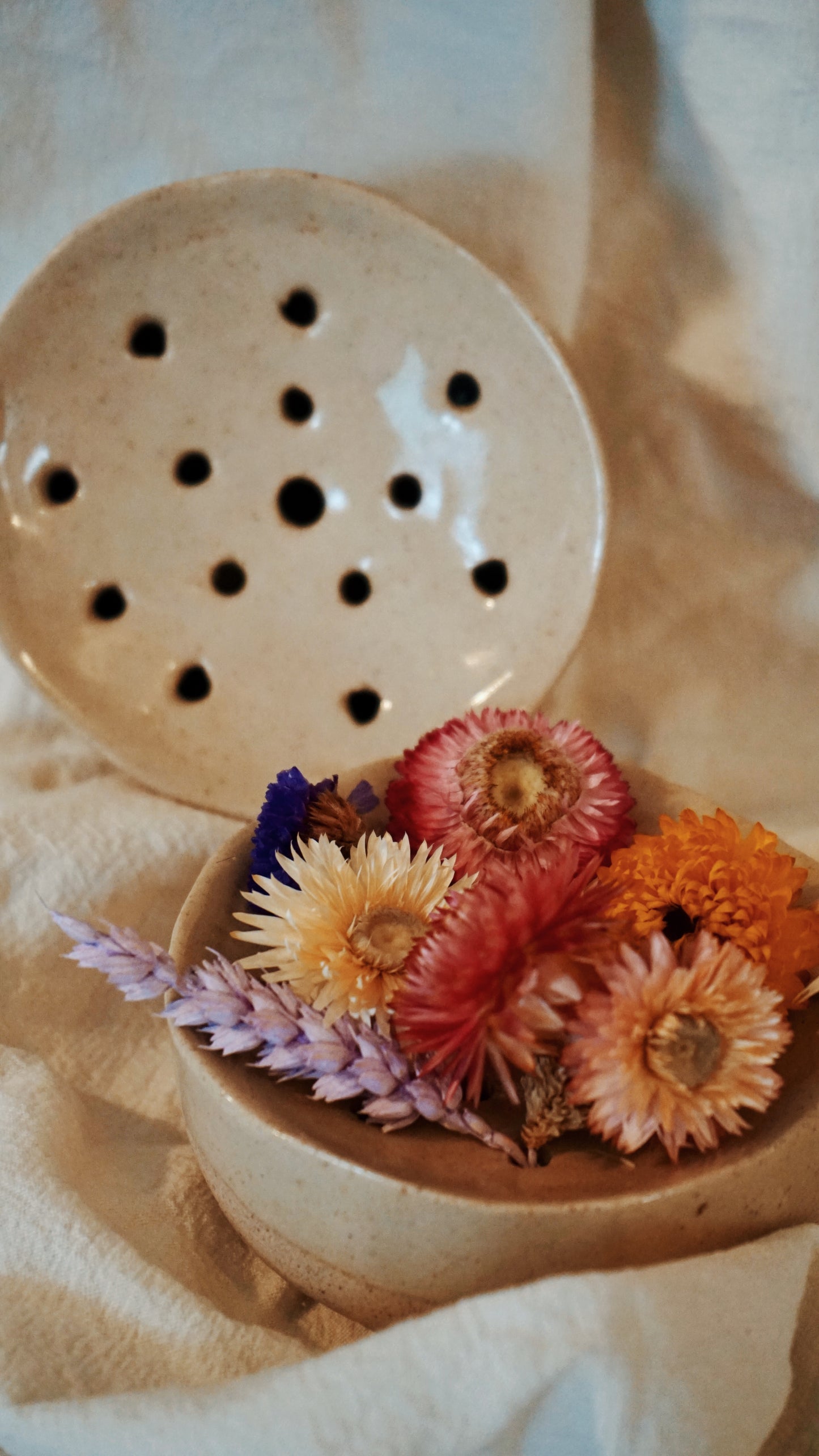Soliflore (fleurs séchées ou fleurs fraiches)