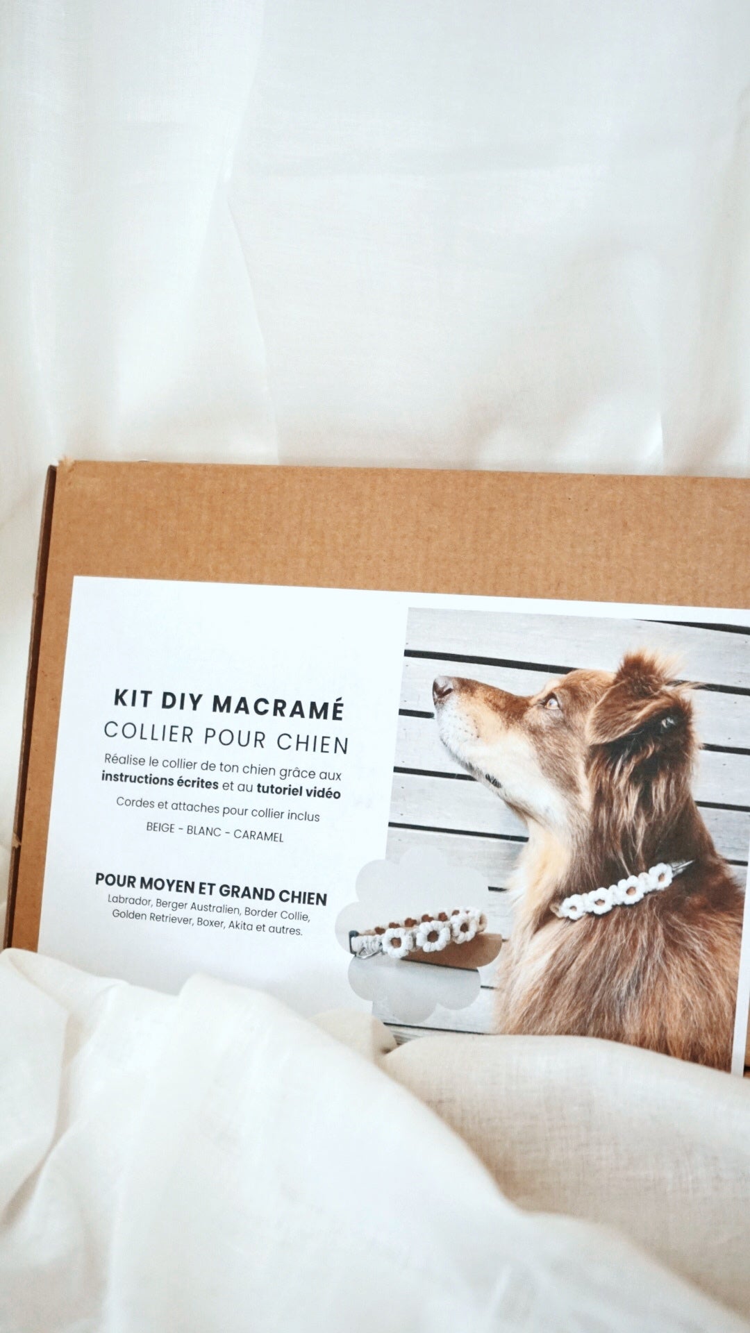 Kit DYI macramé - collier pour chien