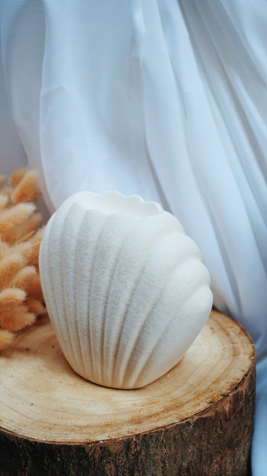 Brûleur coquillage