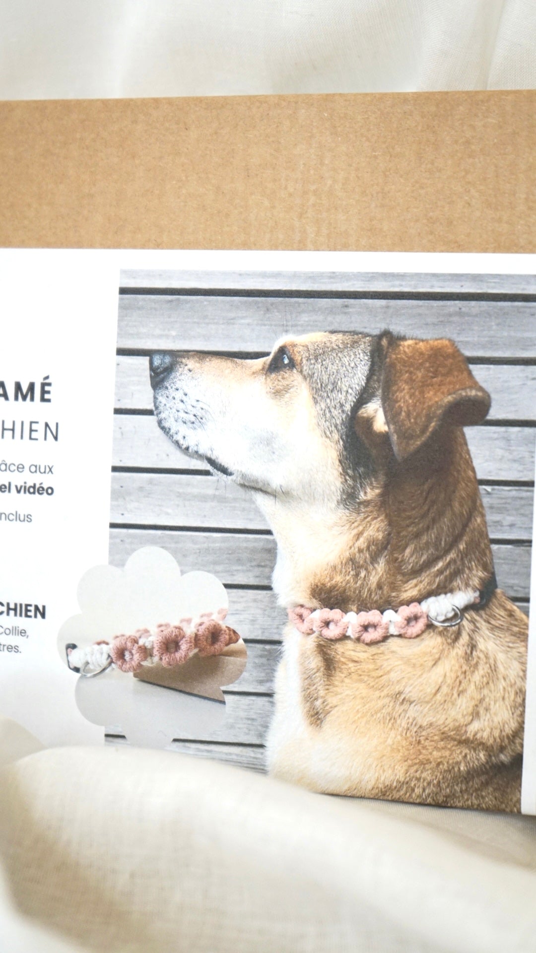 Kit DYI macramé - collier pour chien