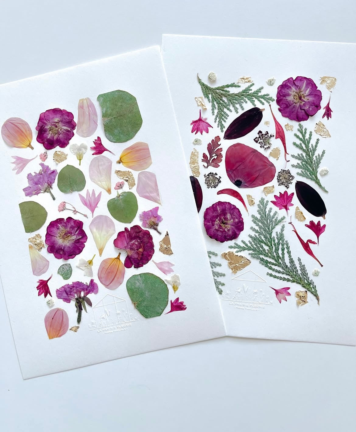 Atelier herbier - cartes de voeux